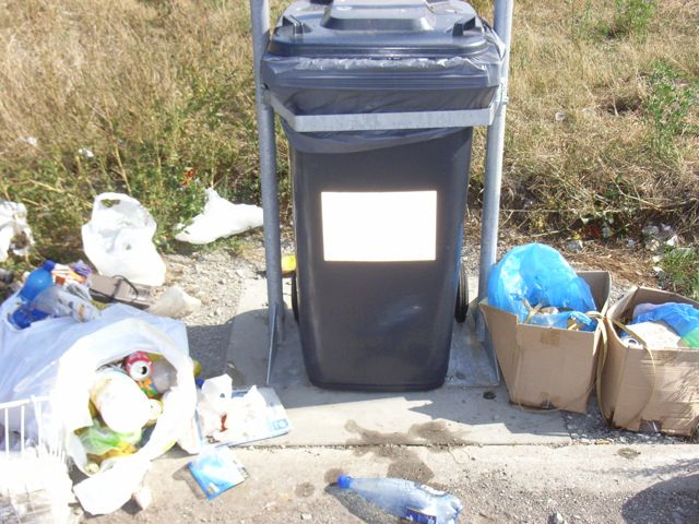 Excursion - after lunch