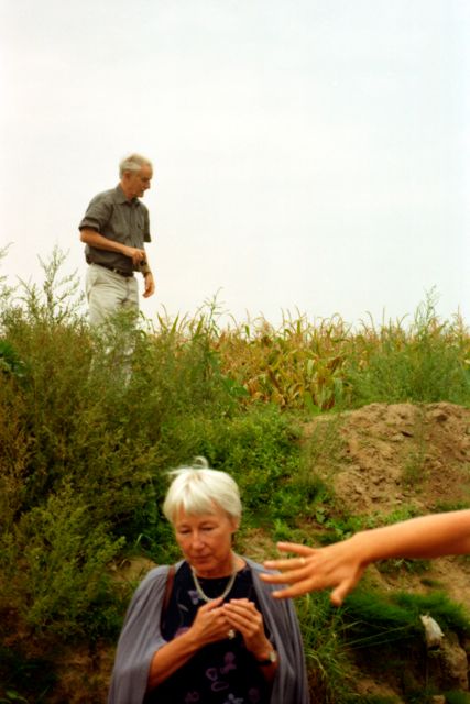 2002 Lamm, Hårdh